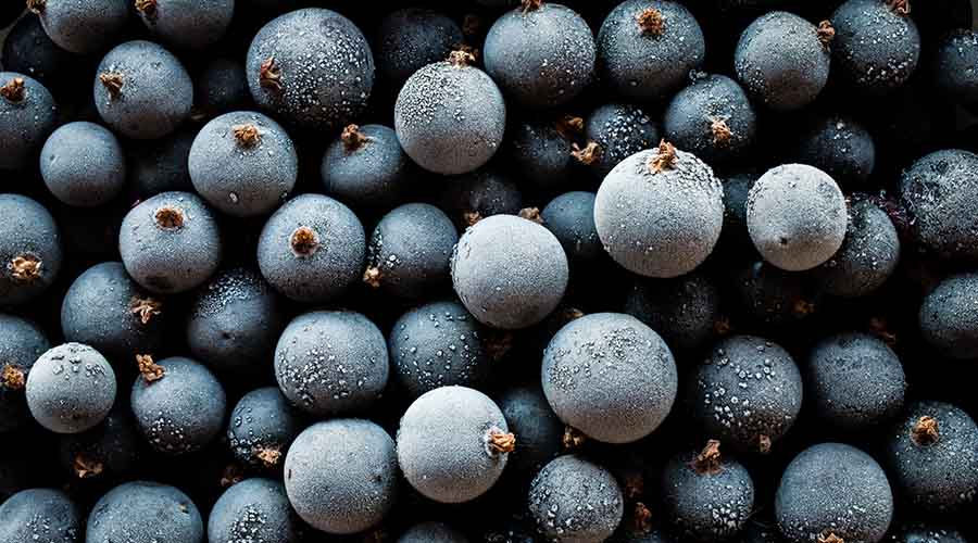 Vu de haut de fruits de cassis