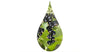 Fruit du cassis dans une goutte
