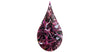 Algue chrondus crispus violet dans une goutte