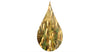 Plante avoine jaune dans une goutte