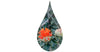 Fleur de carthame orange dans une goutte