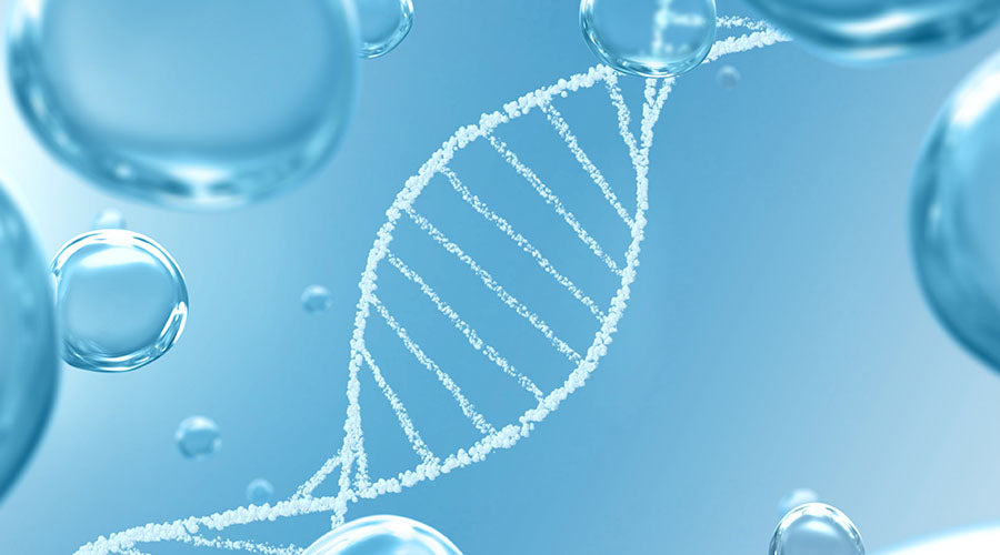 La science derrière la santé de la peau