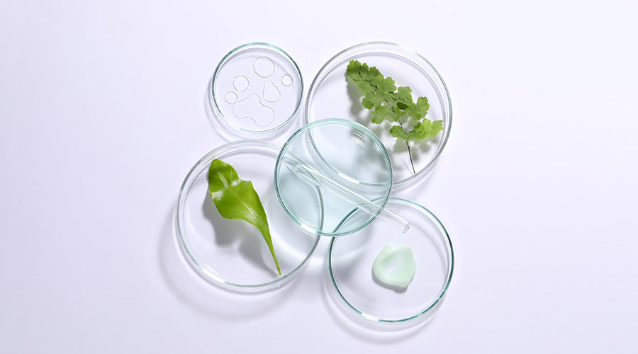 Boites de pétris avec des plantes et des textures cosmétique, vue de haut sur fond violet dégradé